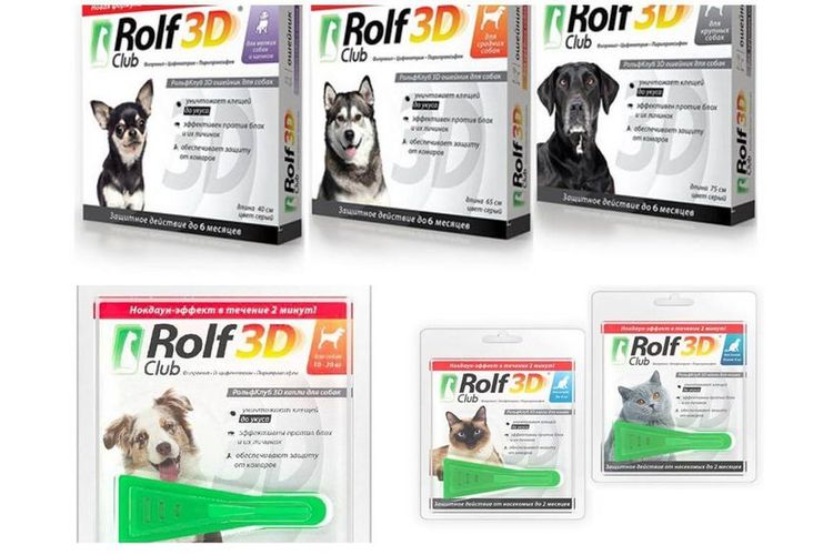 Rolf Club 3D pour chiens