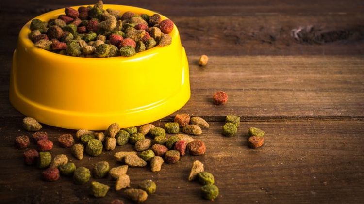 Nourriture dans un bol