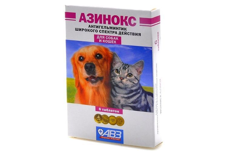Azinox pour chats