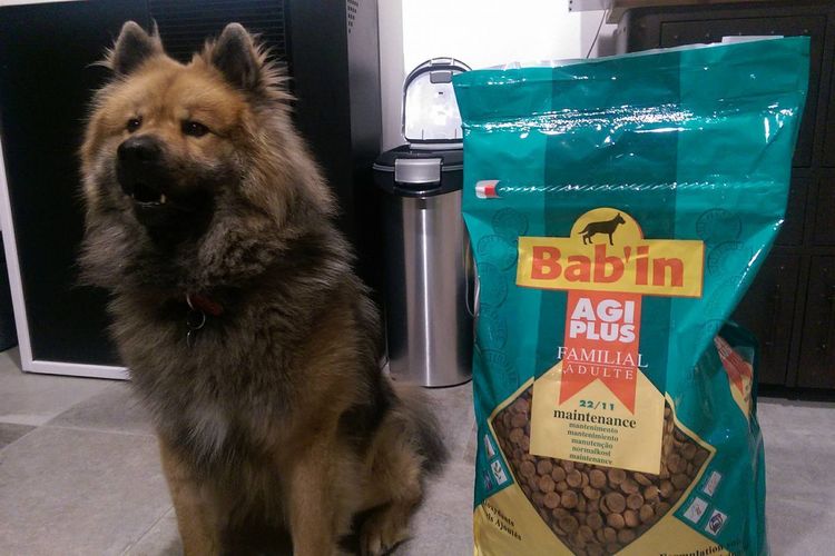 Babin - nourriture pour chiens