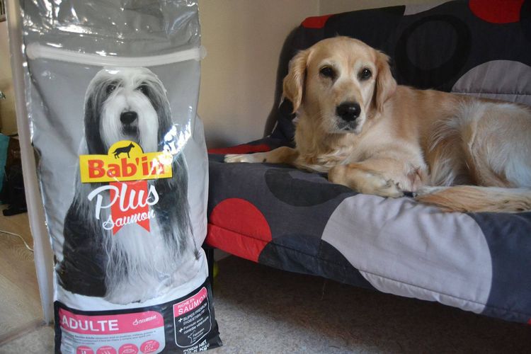 Babin - nourriture pour chiens