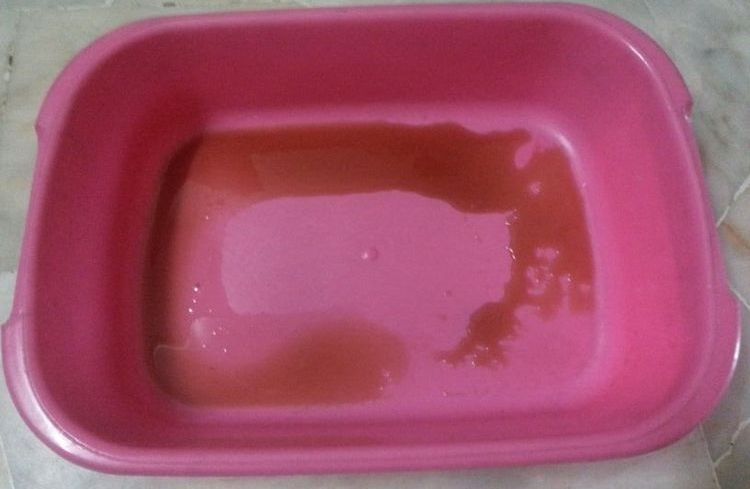 Sang dans l'urine du chat