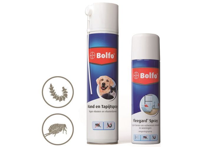 Spray Bolfo pour chiens