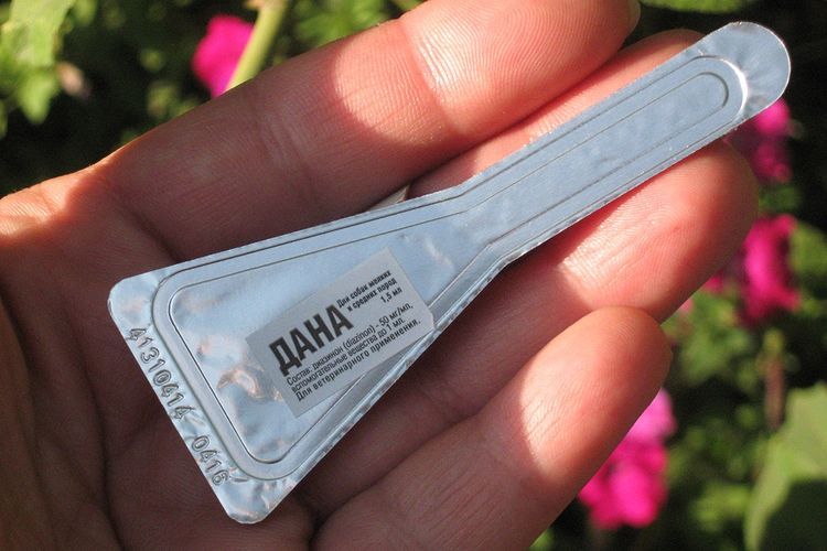 Des gouttes parfaitement placées Dana