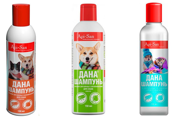 Shampoing pour chiens Dana