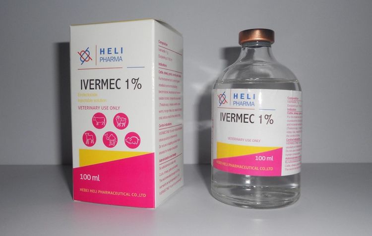 Ivermectine pour chats