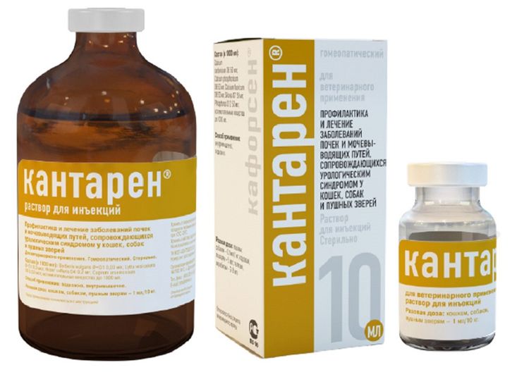 Kantaren pour chiens