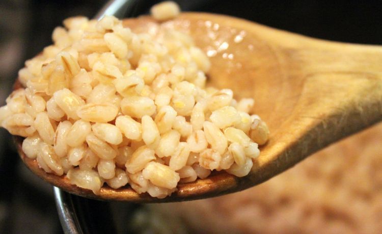 Bouillie d'orge perlé pour chiens