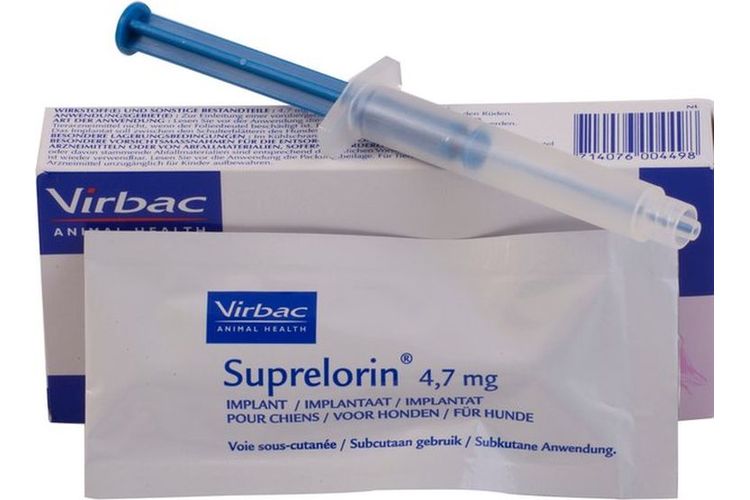 Suprelorin pour chiens