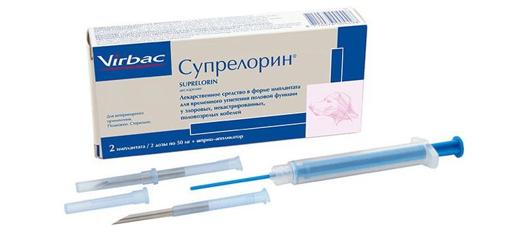 Suprelorin pour chiens