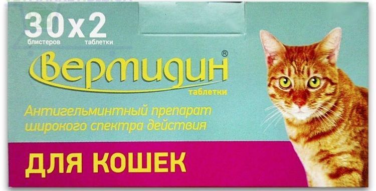 Vermidine pour chats