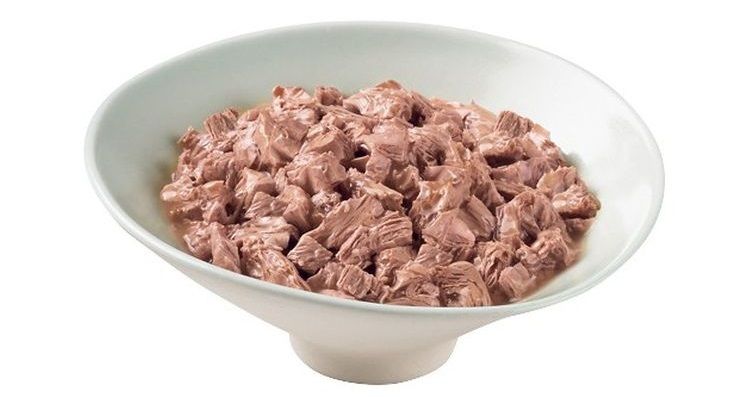 Nourriture humide pour chats