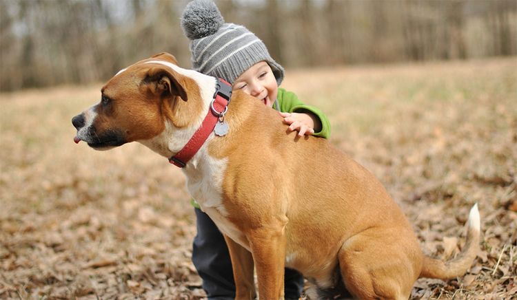 Chien et enfant
