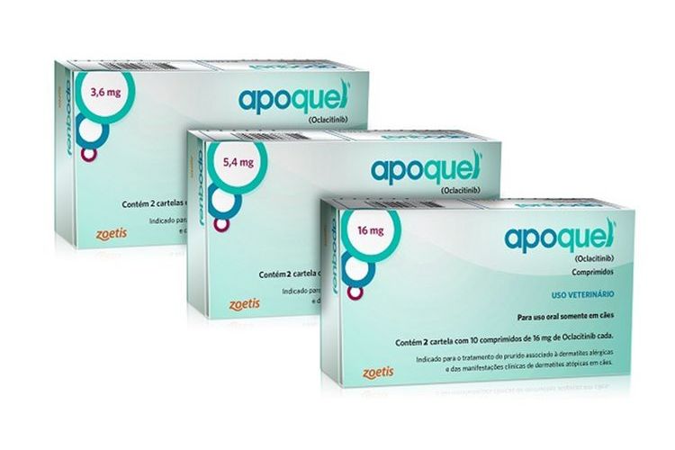 Apoquel pour chats