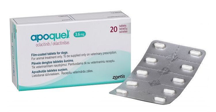 Apoquel pour chats