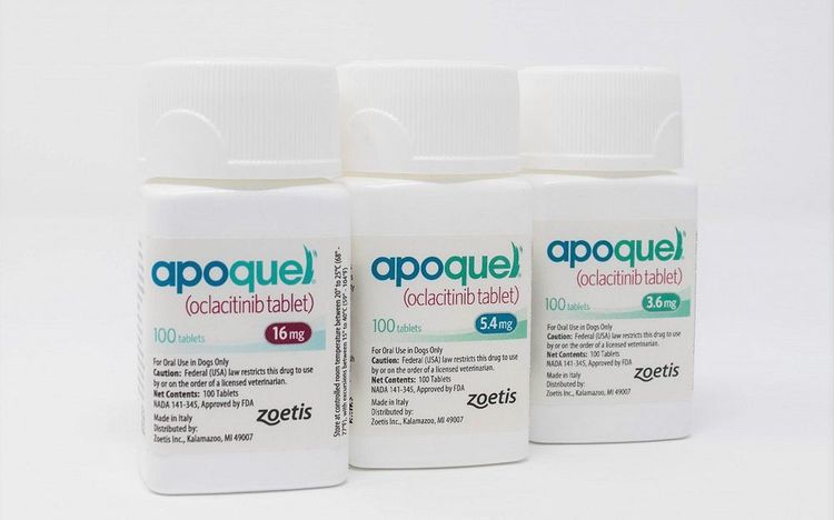 Apoquel pour chats