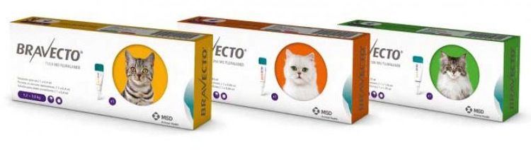 Gouttes Bravecto pour chats