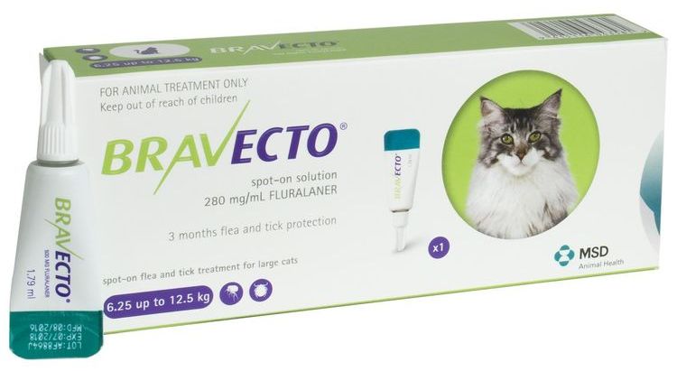 Bravecto pour chats
