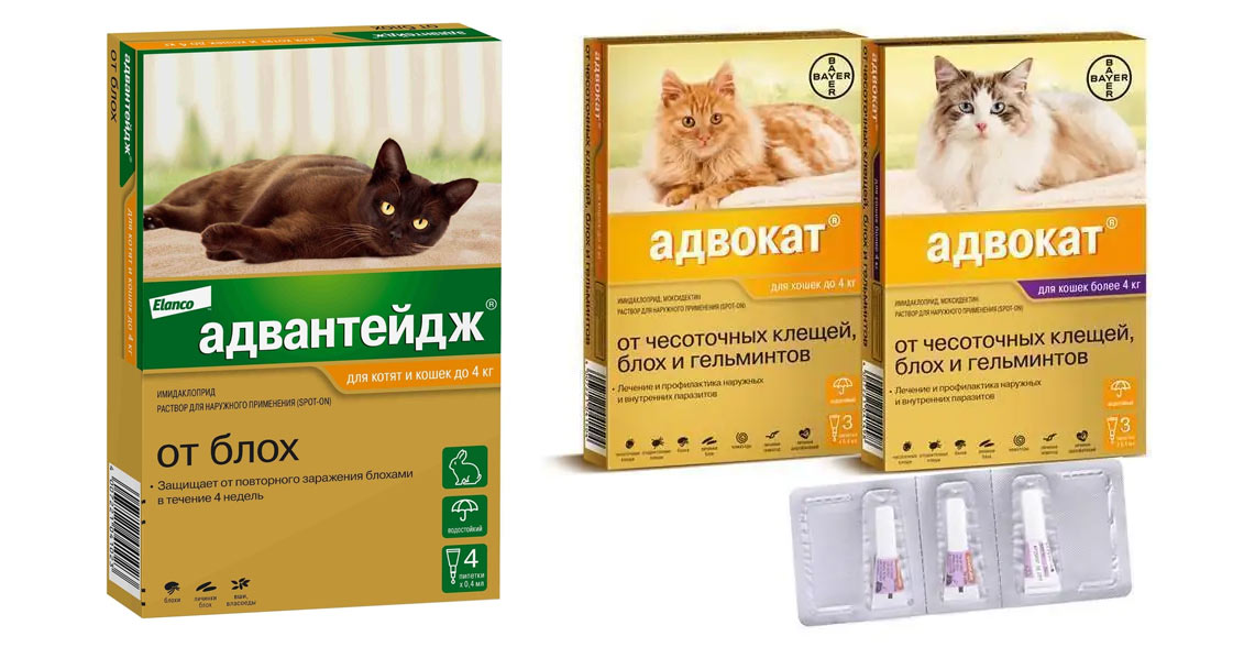 Advantage et Advocate sont des analogues de Bravetco