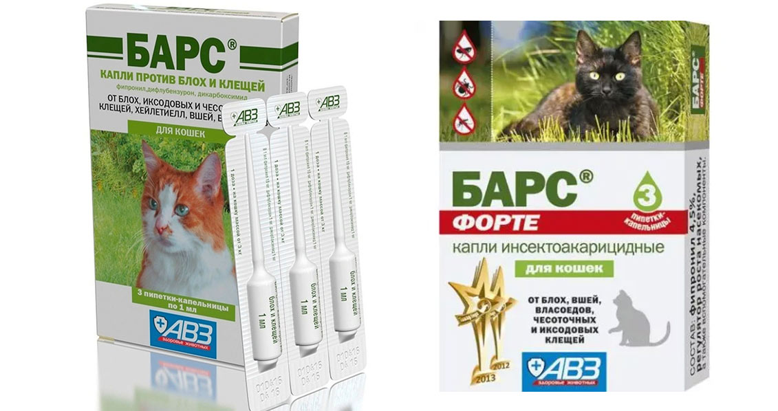 Bars est un analogue de Bravetko