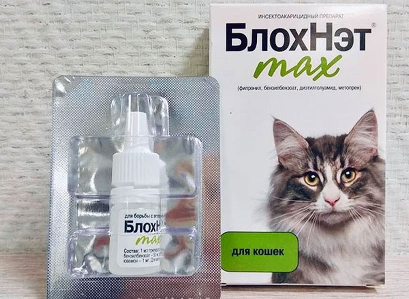 BlokhNet est un analogue de Bravetko.