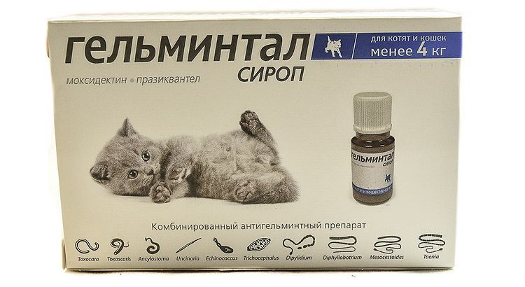 Sirop Gelmintal pour chats