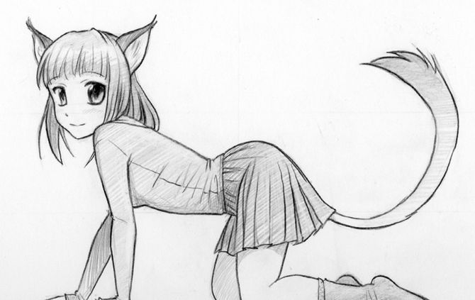 Comment dessiner une fille-chat d'anime