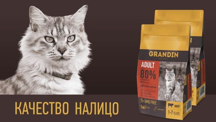 Nourriture pour chats Grandin