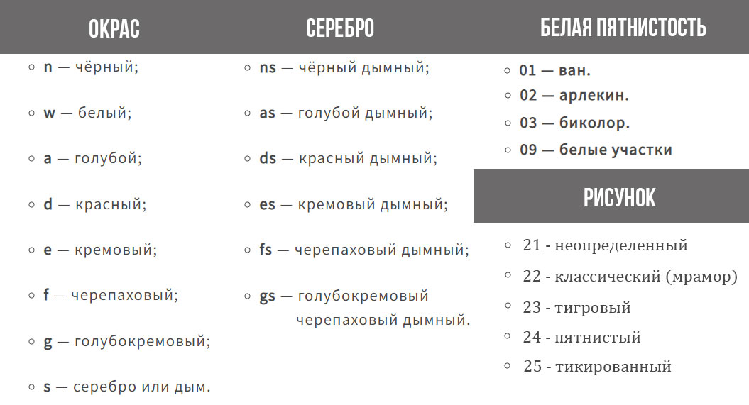 Couleurs du chat Maine Coon