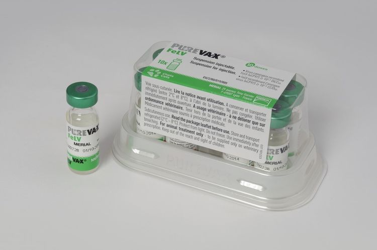 Purevax pour chats