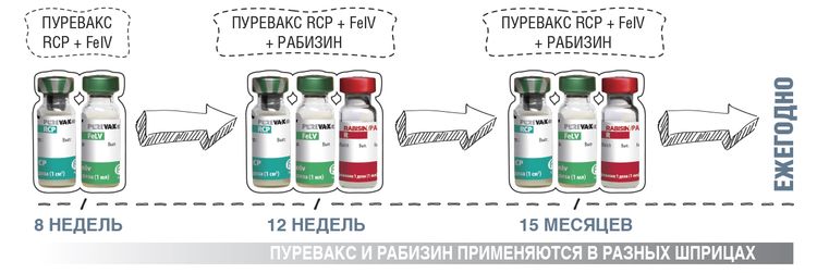 Association de Rabizin et Purevax