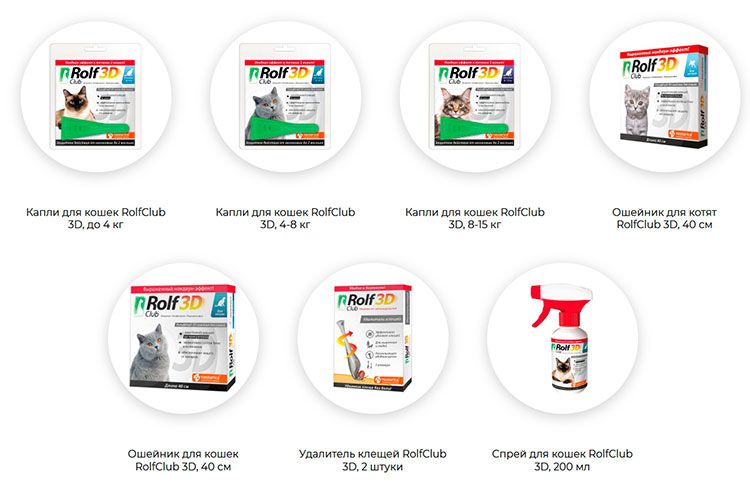 Club de Rolf pour chats