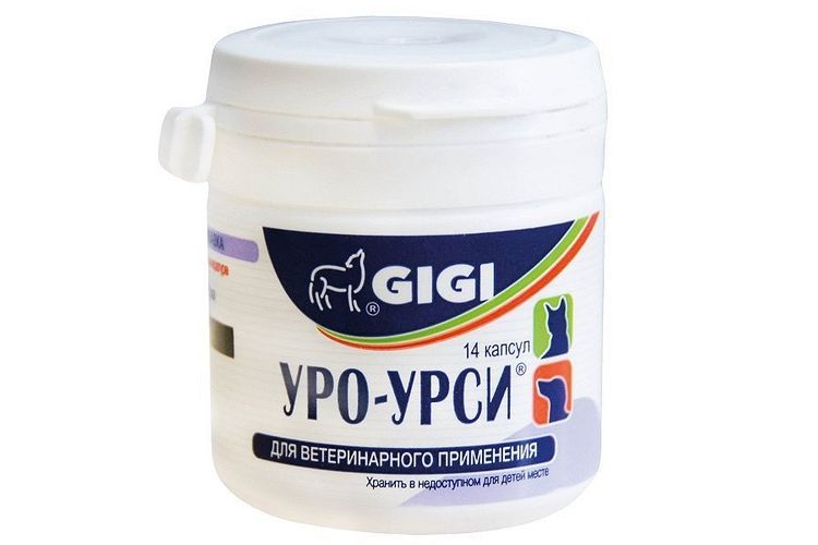 Uro-ursi pour chats
