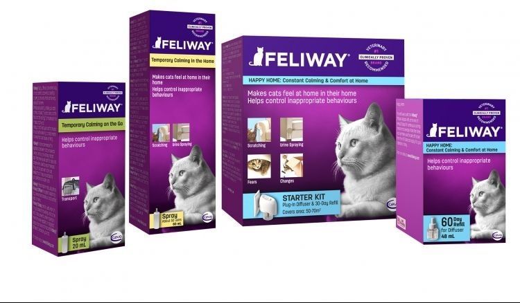 Feliway pour chats