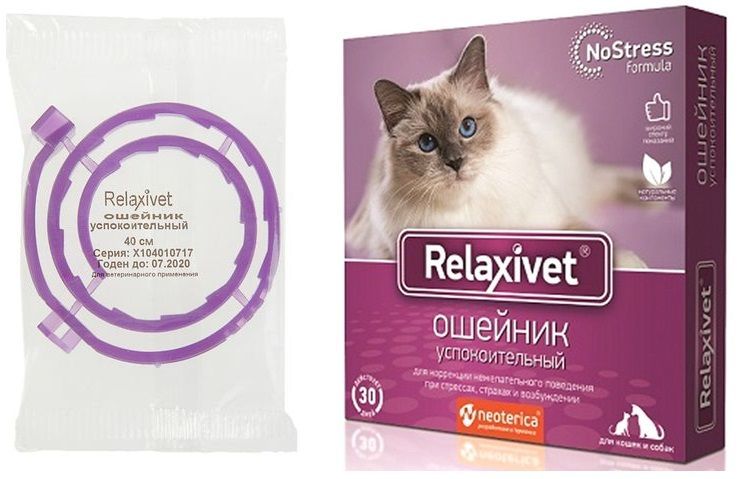 Collier apaisant pour chats