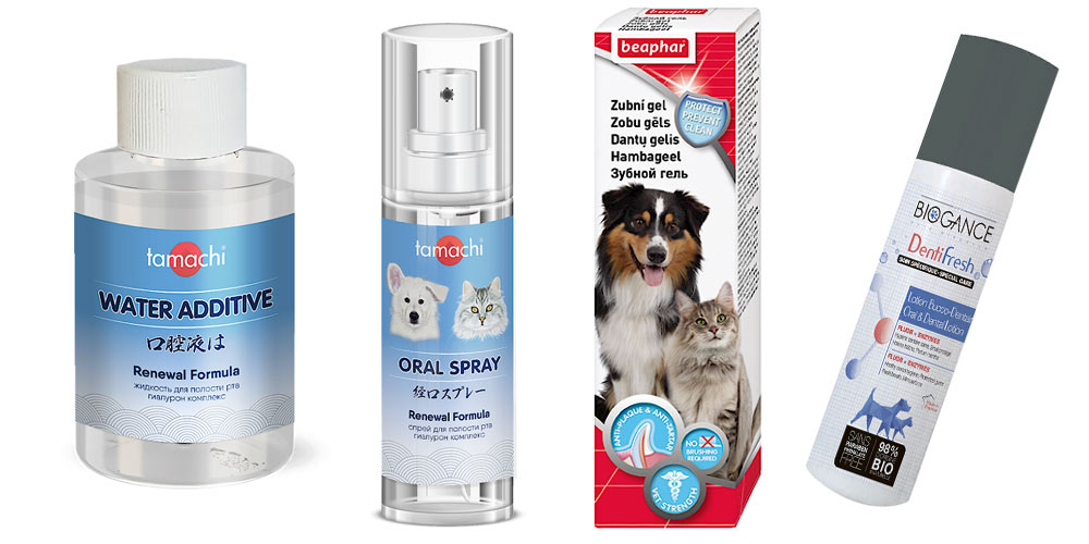 Traitements antitartre pour chats et chiens