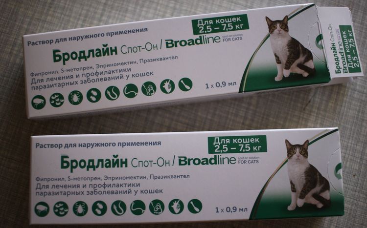 Broadline Spot-On pour chats
