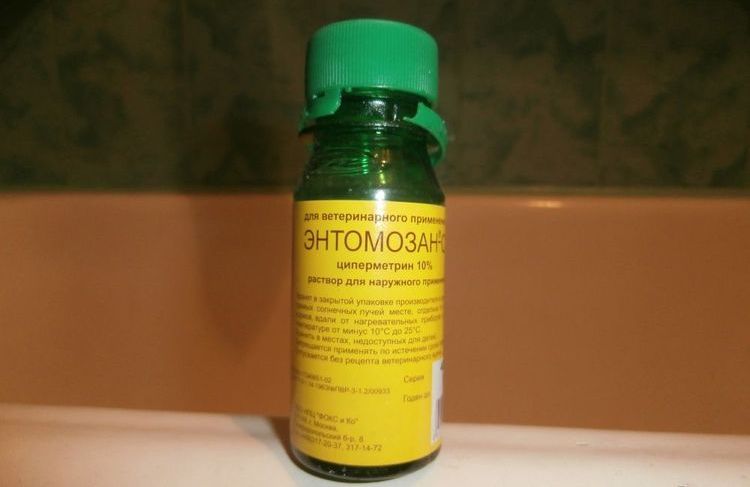 Entomosan S pour chats