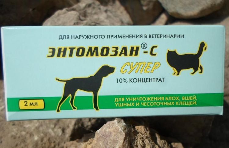 Entomosan S pour chats