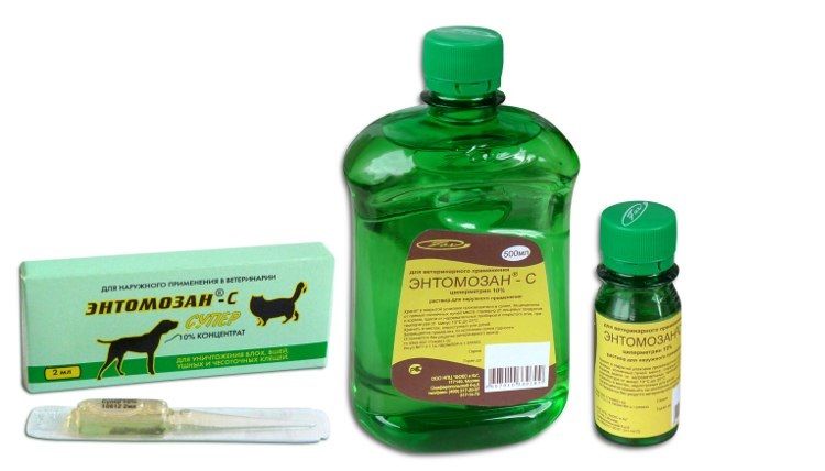 Entomosan S pour chats