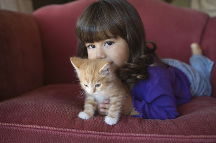 Comment se manifeste l'allergie aux chats chez l'enfant ?