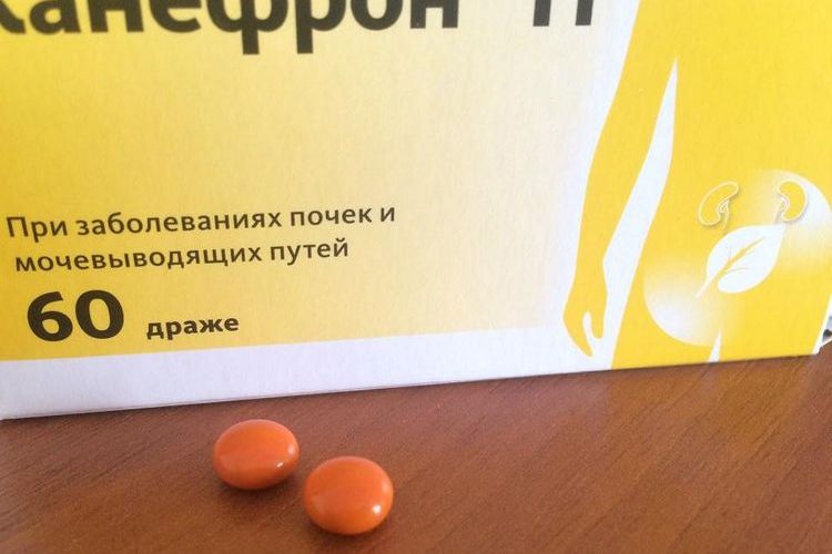 Comprimés Canephron pour chats