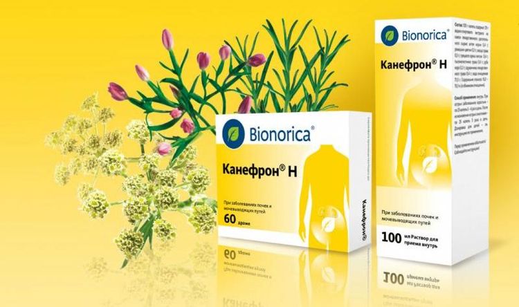 Canephron pour chats