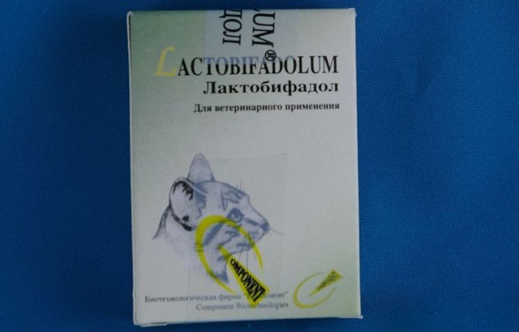 Lactobifadol pour chats