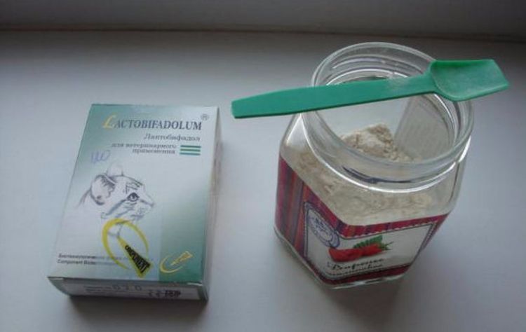 Lactobifadol pour chats