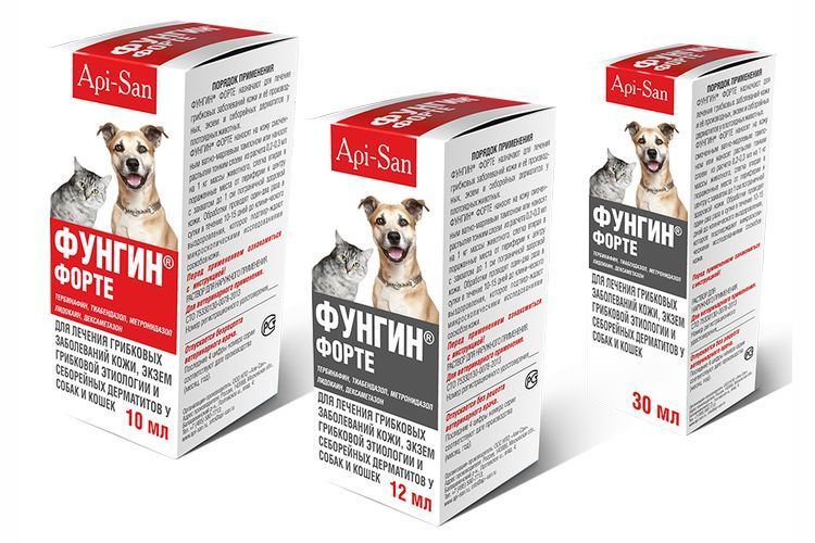 Fungin contre la teigne chez les chats