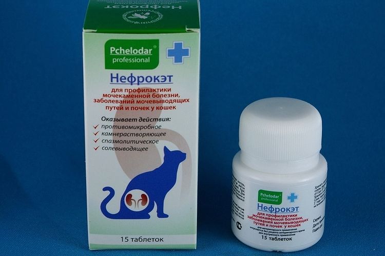 NephroKat pour chats