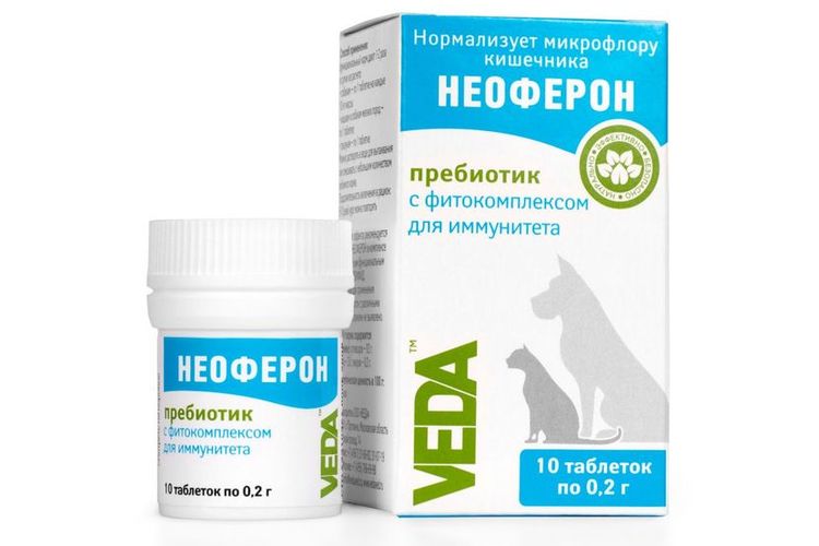 Néoféron pour chats