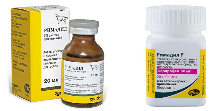 Rimadyl pour chats