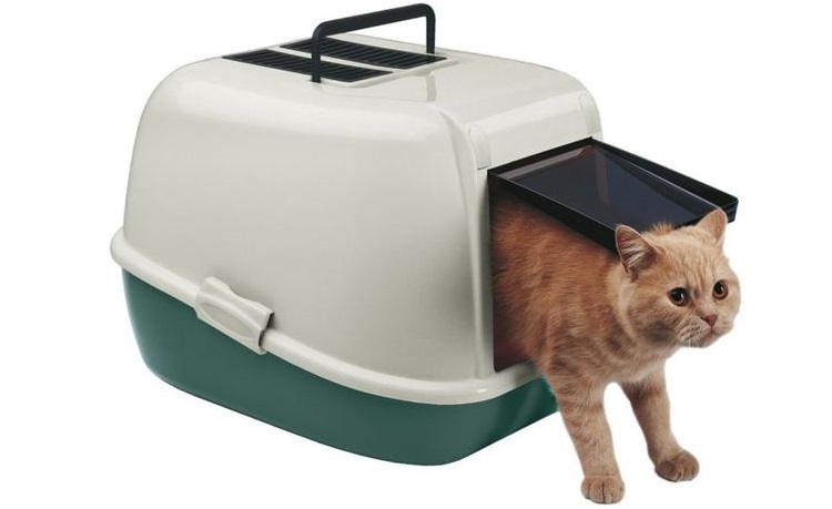 Toilettes pour chats